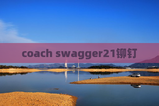 coach swagger21铆钉